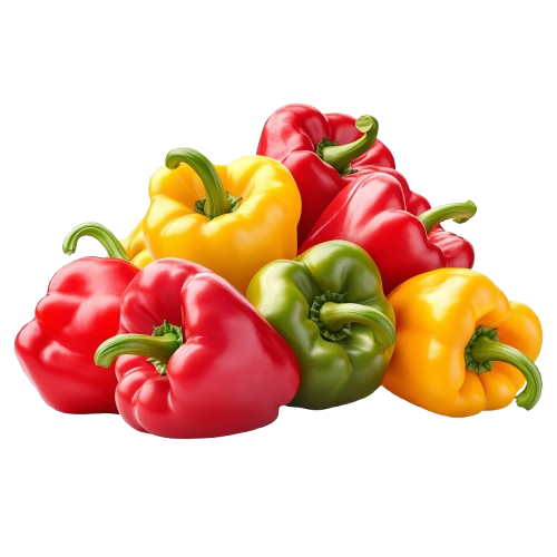 Fresh colorful bell peppers - red, yellow, and green varieties